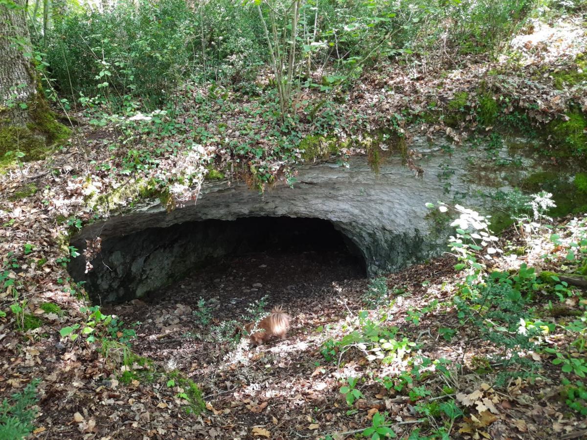 Ferme Des Petites Oreilles 4 Etoiles Montignac-Lascaux Exterior photo